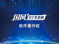 国风软件著作权